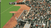 sf 137 GIF by MLB