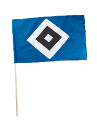 hamburger sv soccer Sticker by HSV