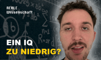 Heinz Dumm GIF