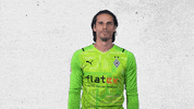Yann Sommer Bundesliga GIF by Borussia Mönchengladbach