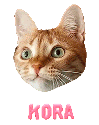 Cat Ginger Sticker