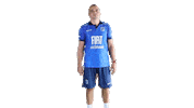 Volleyball Volley Sticker by Minas Tênis Clube