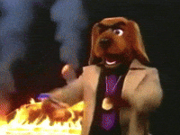 Dog Vhs GIF