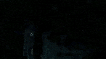 could shoulder adele adkins GIF