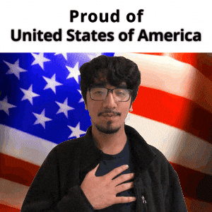 United States Of America GIF