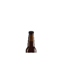 Drollebirra party beer weekend bottle Sticker