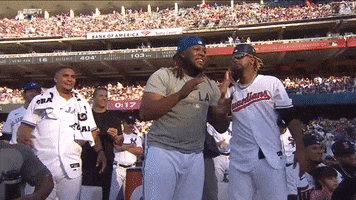 Sport Baseball GIF by MLB