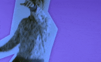 Armed And Dangerous GIF by Juice WRLD