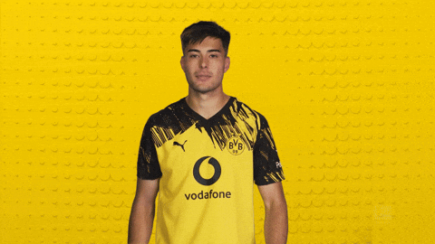 Borussia Dortmund GIF by Bundesliga