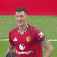 Premier League Smile GIF by Manchester United