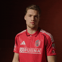 Stlcitysc GIF by St. Louis CITY SC