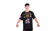 Celebration Handball Sticker by Team Chambé