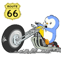 Penguin Arizona Sticker by Pudgy Penguins