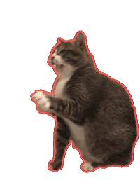 Cat Sticker
