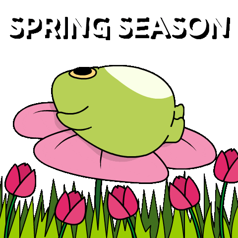 Bitcoin Spring Sticker by Ordinary Frends