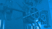 Technology Bitcoin GIF by Nexus