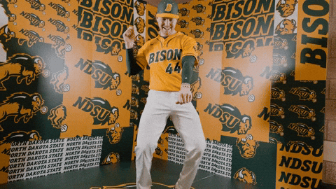 Baseball Bison GIF by NDSU Athletics