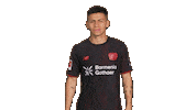 Bayer Leverkusen Sticker by Bundesliga