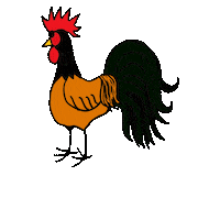 Rooster Chickens Sticker