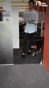 Dog Office GIF by The Dodo