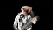 sub pop rock GIF by Sub Pop Records