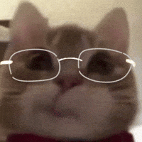 Stantwt GIF
