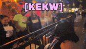 Lmao Laughing GIF