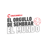 Mundo Comercioexterior Sticker by Crucianelli