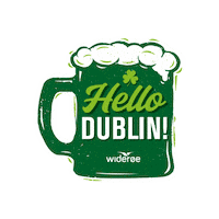 Beer Hello Sticker by Widerøe