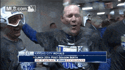 kc GIF by MLB