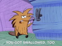 nickrewind nicksplat angry beavers GIF