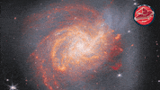 James Webb Nasa GIF by ESA Webb Space Telescope