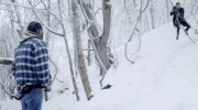 the orchard GIF by Donald Cried