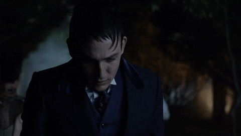 mad city fox GIF by Gotham