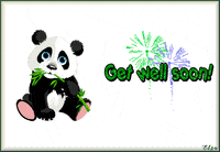 Get Well Soon Panda GIF
