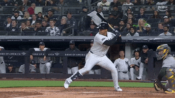 Major League Baseball Sport GIF by MLB
