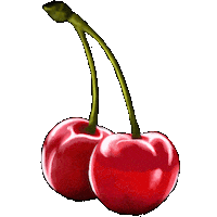 Artivikk cherry artivikk Sticker