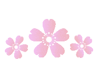 ParisTokyoBH sushi beverly hills cherry blossom cherry blossoms Sticker