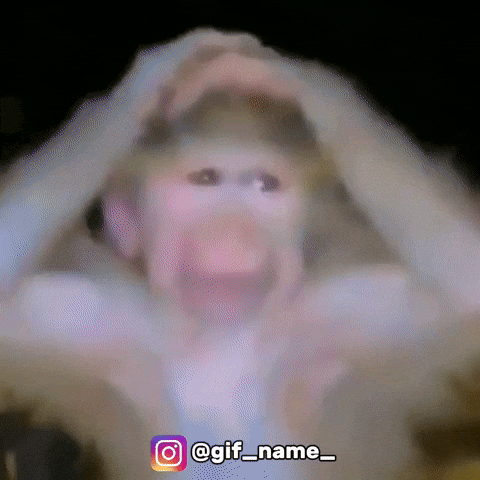 Monkey GIF