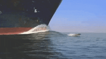 ship dolphins GIF