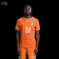 Fifa World Cup Elephants GIF by Respective