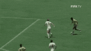 World Cup Football GIF by FIFA