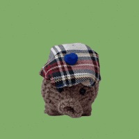 Scotland Scottish GIF by TeaCosyFolk