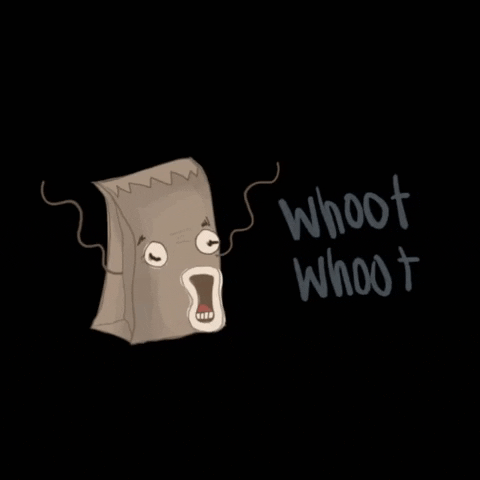 Excited Paperbag GIF by Earthpack