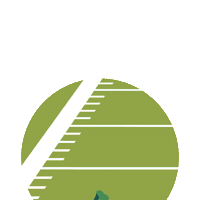 Winter Sports Tree Sticker by Wells Fargo