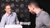 paul bissonnette sport GIF by NHL