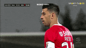 Sl Benfica Slbgif GIF by Sport Lisboa e Benfica