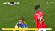 Sl Benfica Slbgif GIF by Sport Lisboa e Benfica