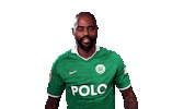 Champions League Win Sticker by VfL Wolfsburg
