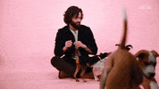 Penn Badgley Puppy Interview GIF by BuzzFeed